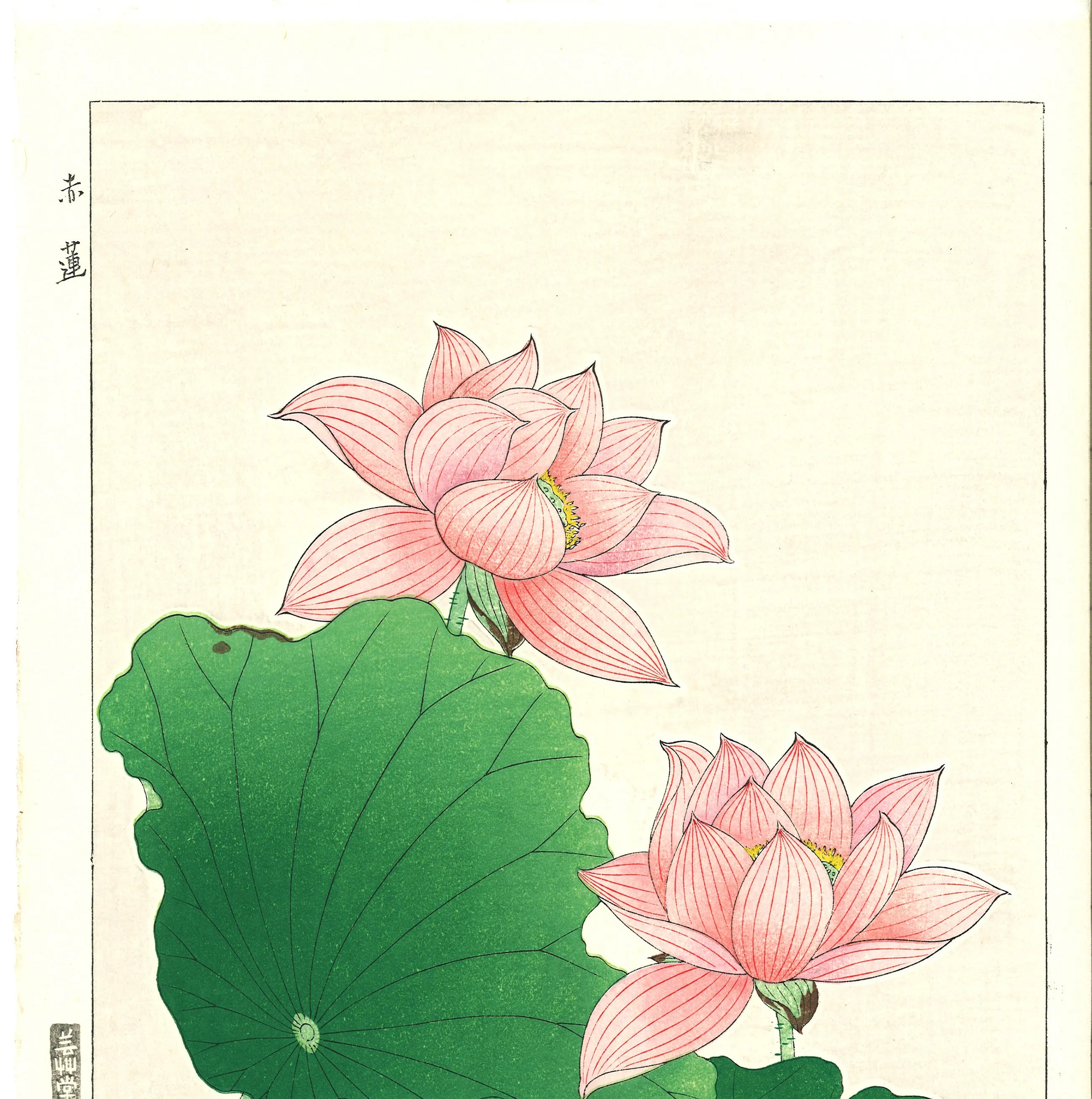 Kawarazaki Shodo - F59 Sekiren (Red Lotus)  - Free Shipping