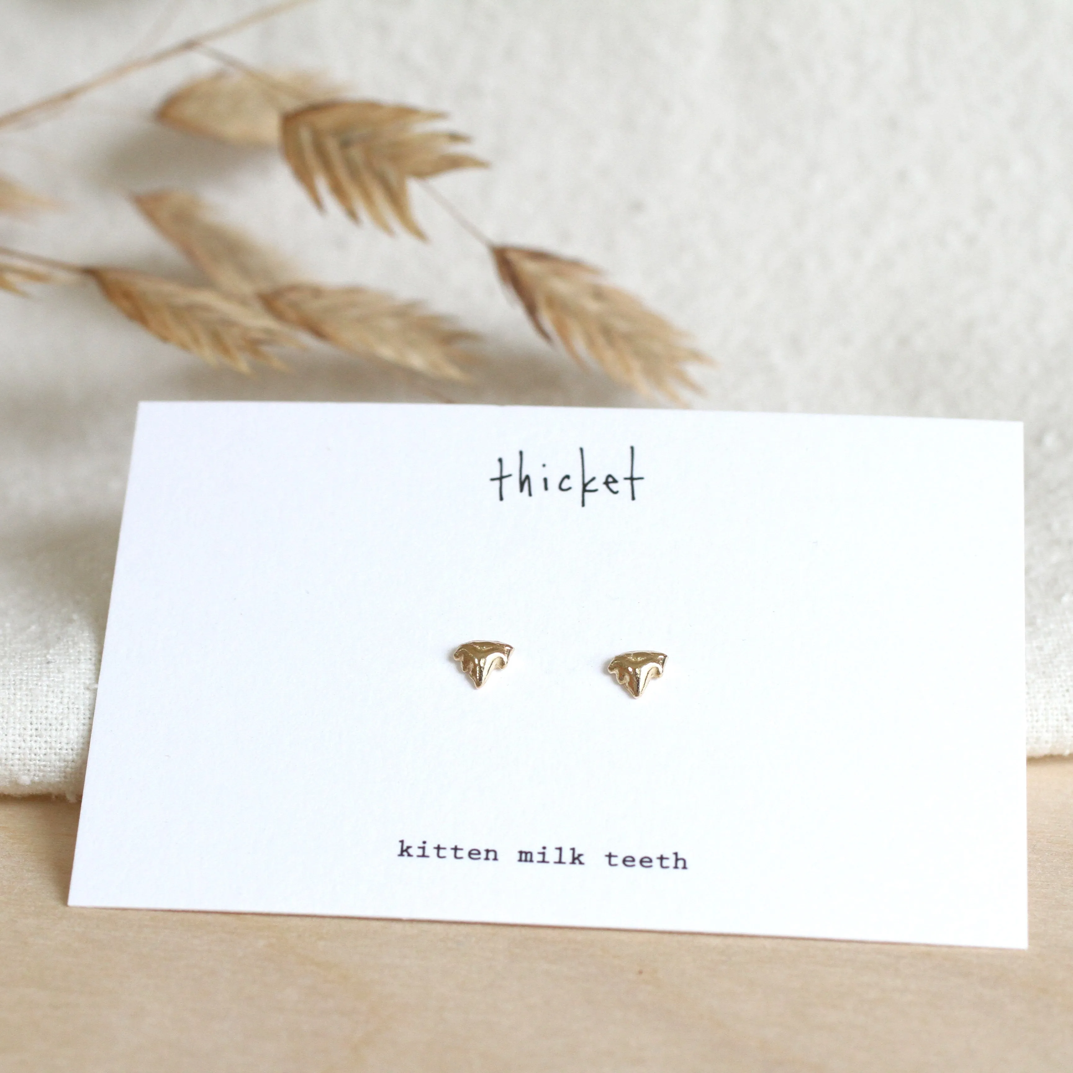 kitten teeth studs