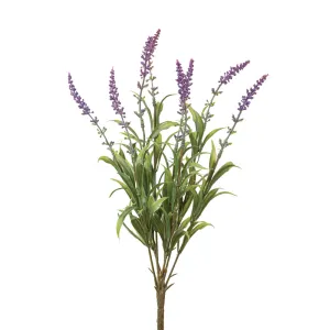Lavender Bush