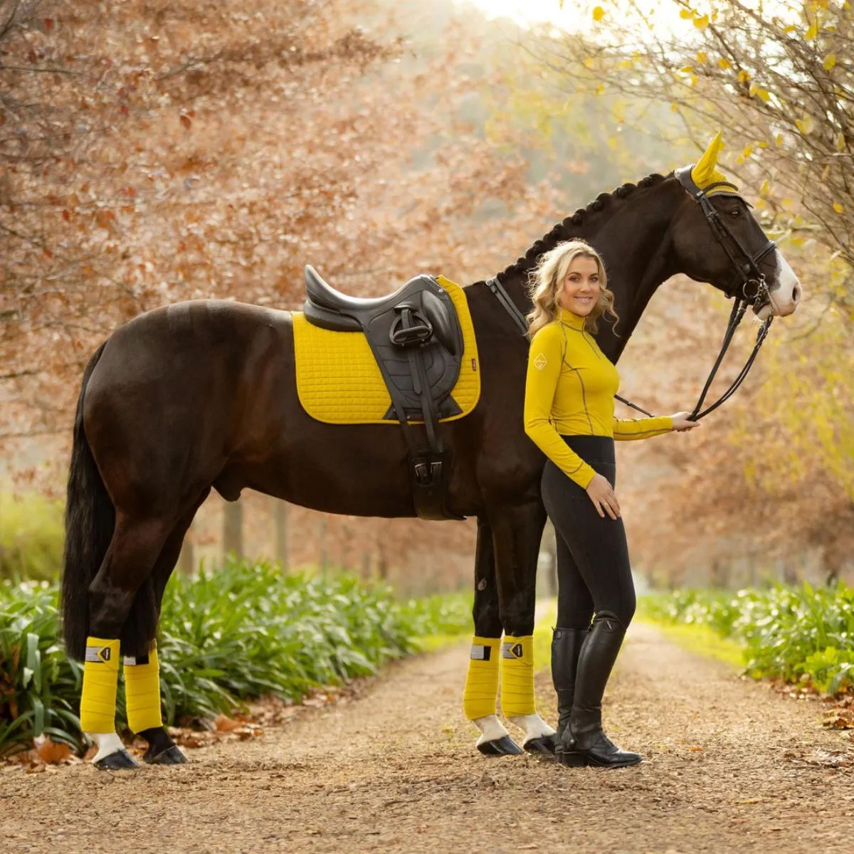 LeMieux Luxury Dressage Pad Dijon