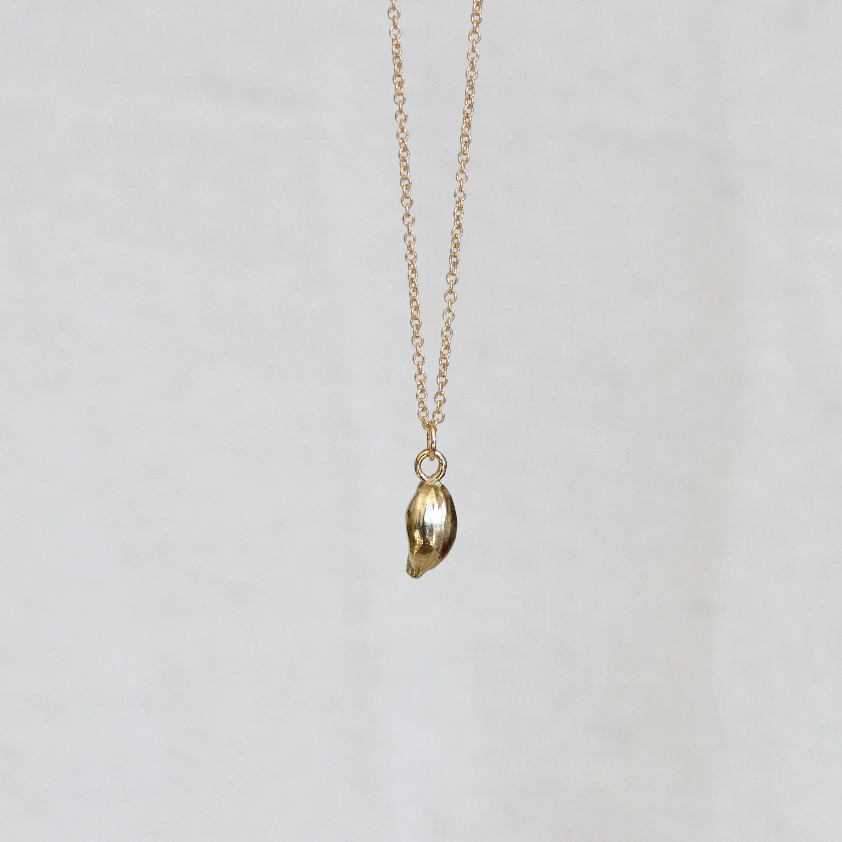 lemon seed necklace