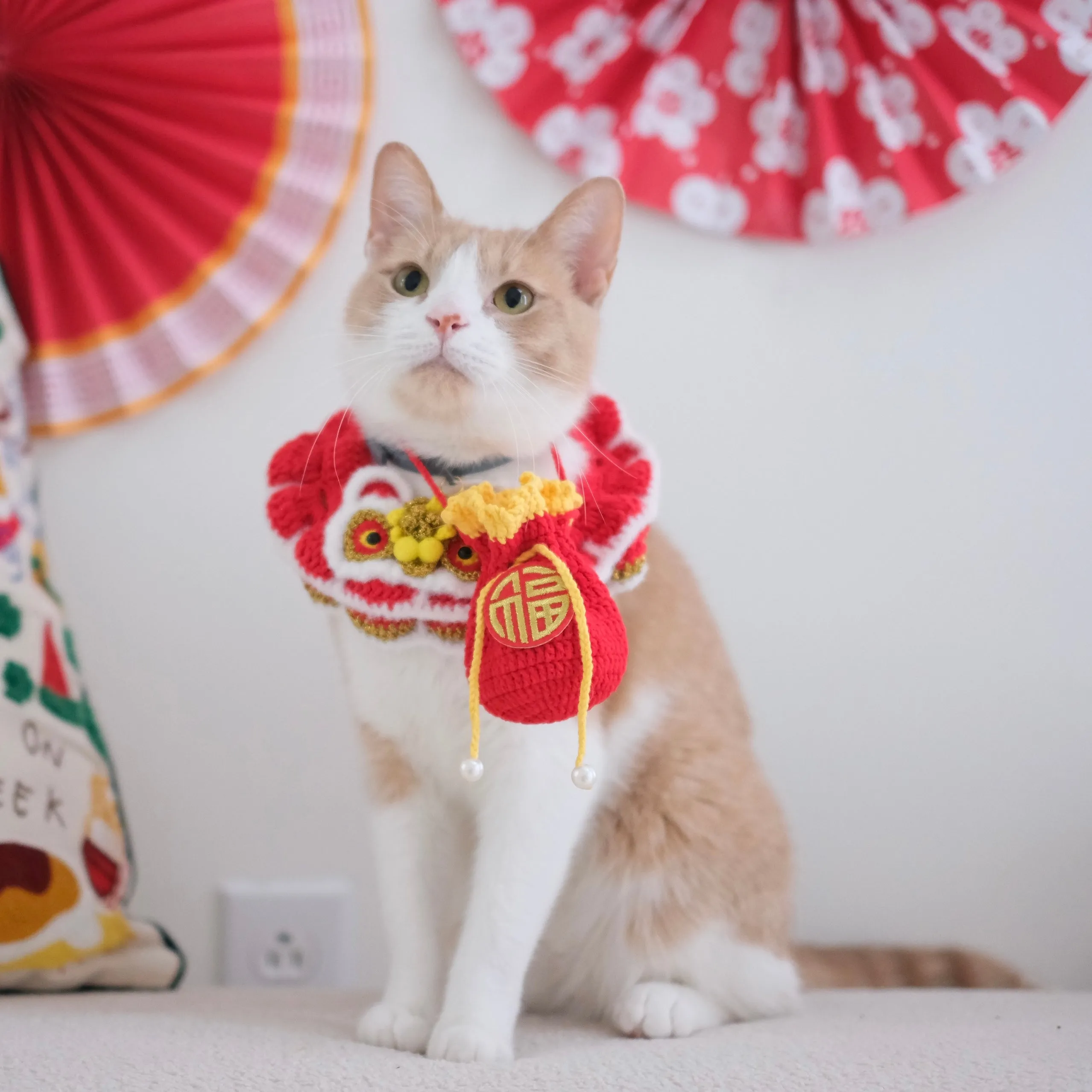 Lion Dance Crochet Set