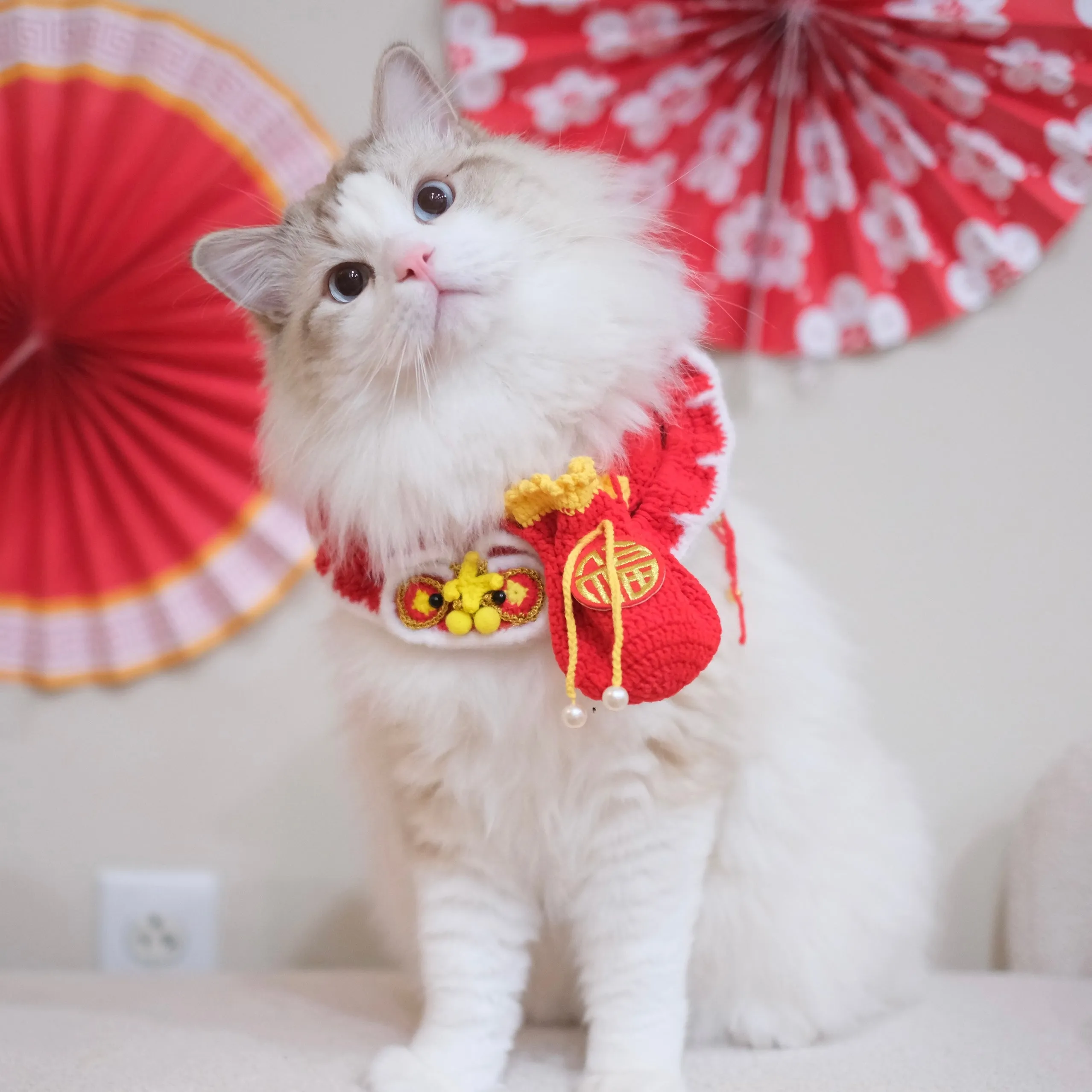 Lion Dance Crochet Set