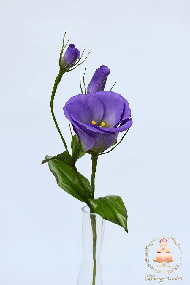 LISIANTHUS/EUSTOMA FLOWER PETAL CUTTERS SET A332