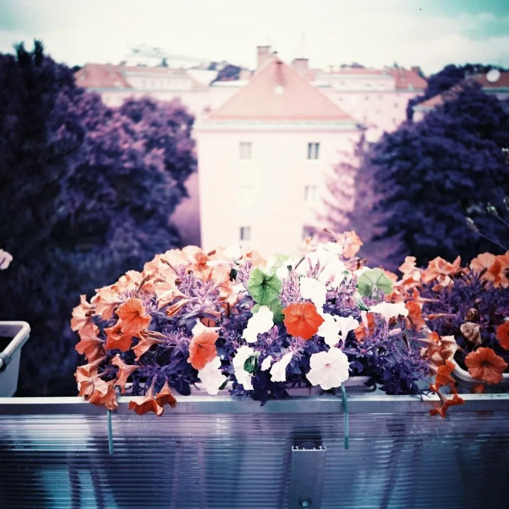 Lomography 35mm Simple-Use Camera - LomoChrome Purple Film