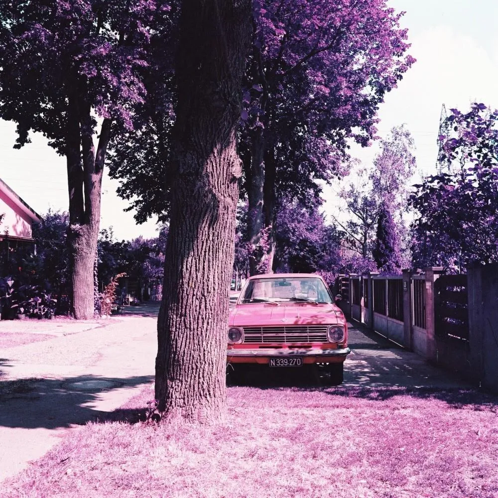 Lomography 35mm Simple-Use Camera - LomoChrome Purple Film