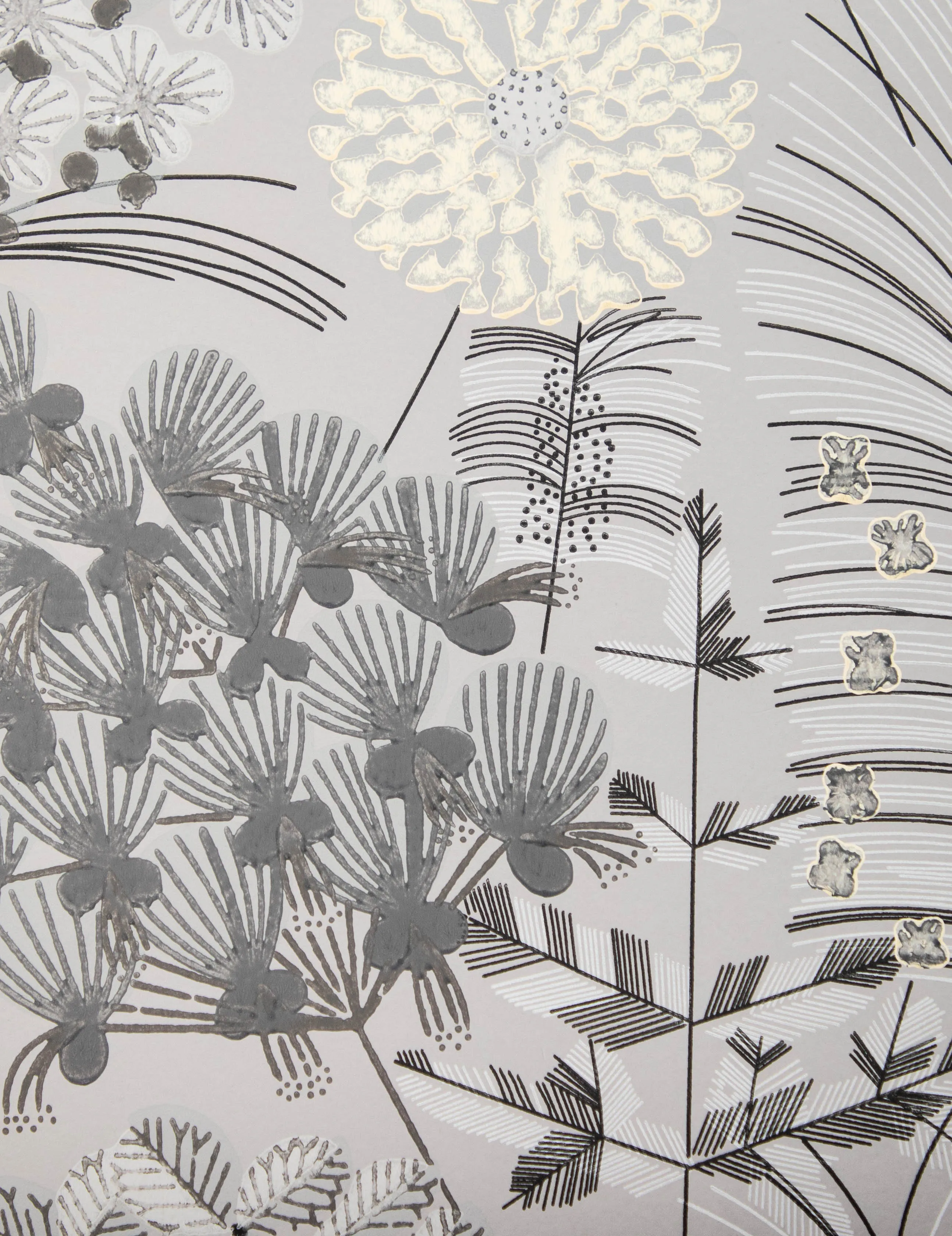 LRF-2305 / botanical