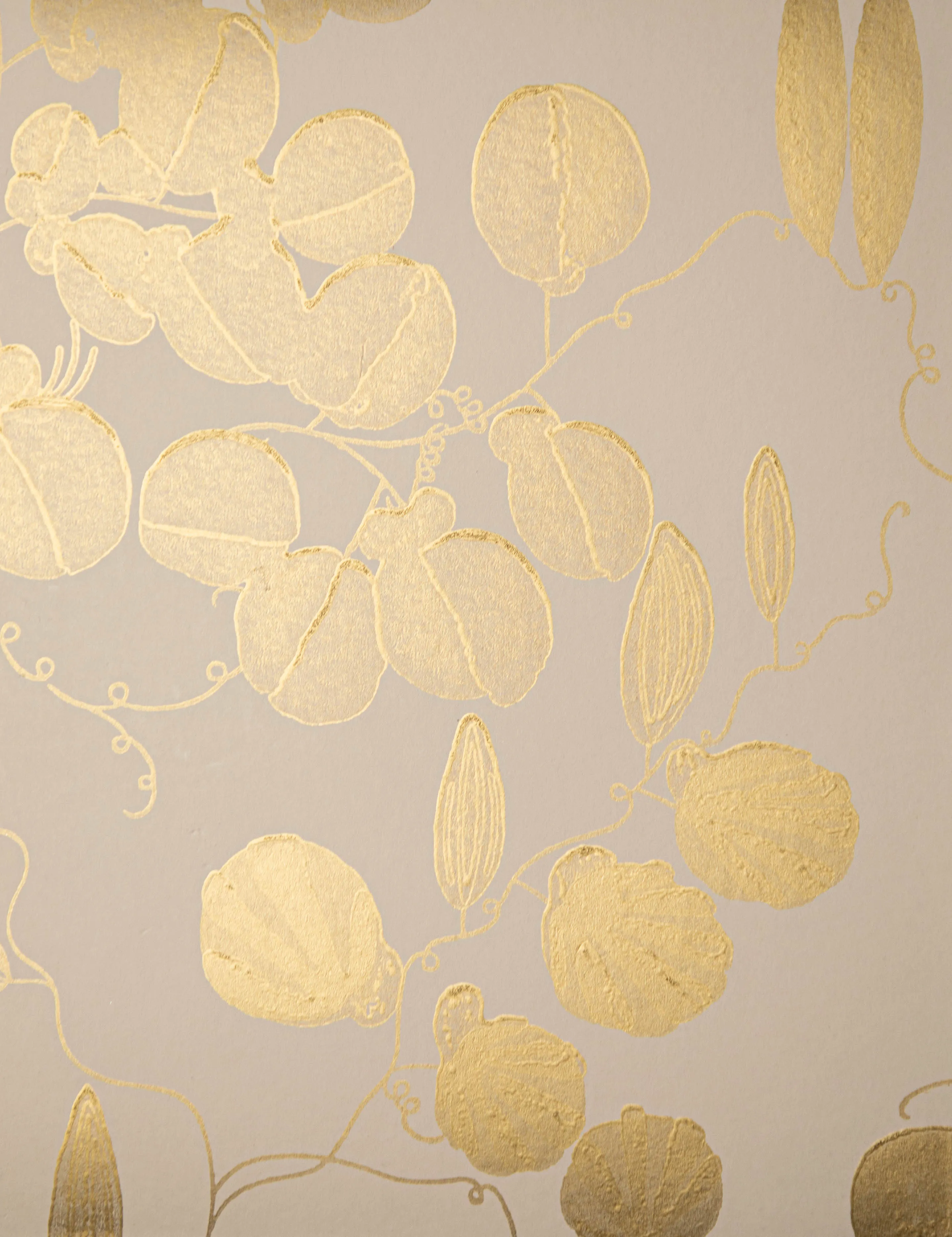 LRF-2312 / botanical