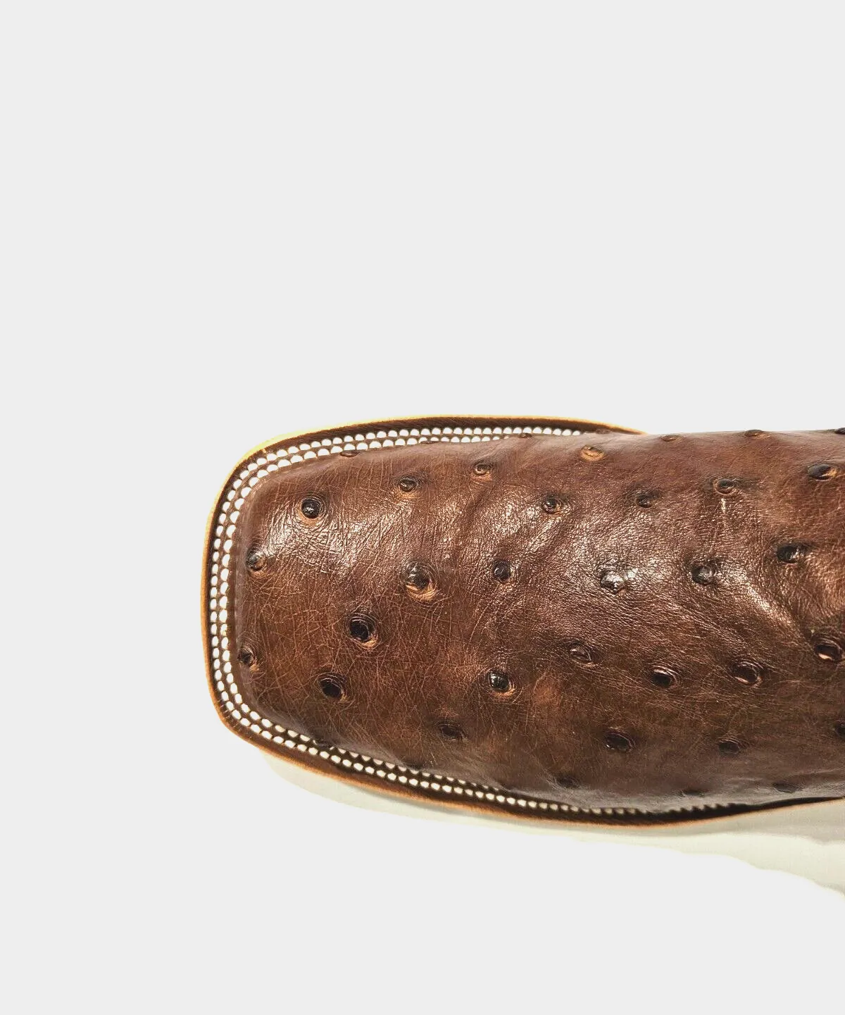MEN'S ANDERSON BEAN EXCLUSIVES CAFE AMERICANO OSTRICH 337255