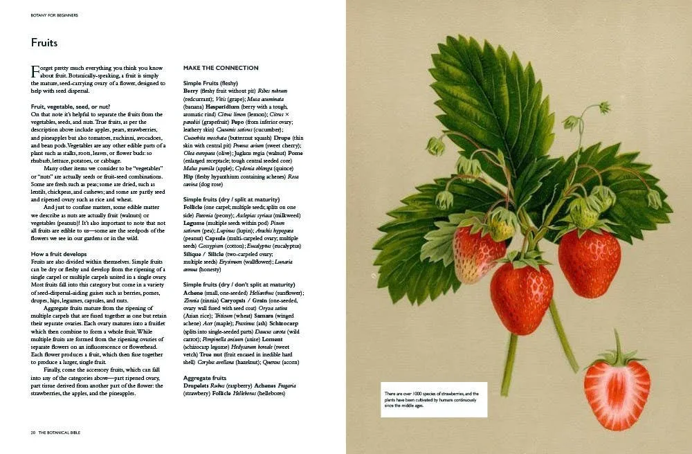 Microcosm Publishing & Distribution - Botanical Bible
