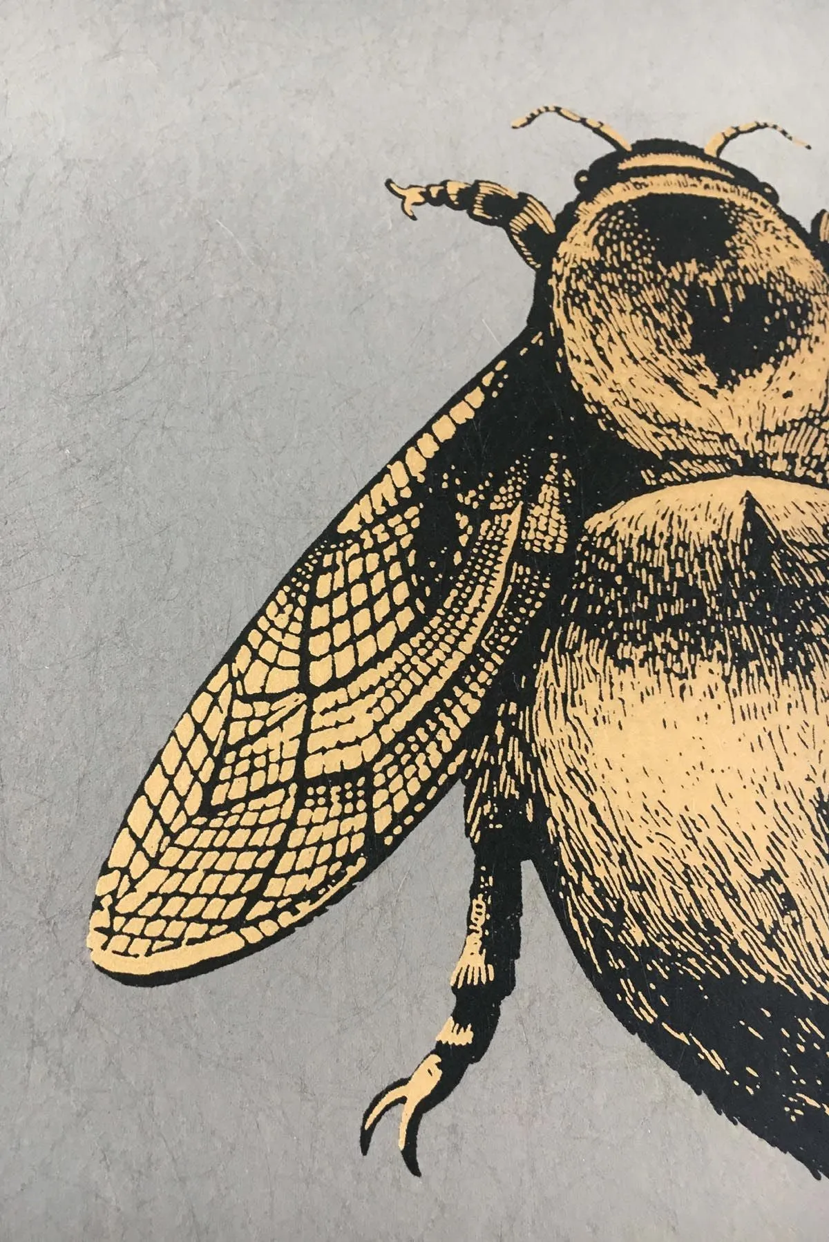 napoleon bee wallpaper
