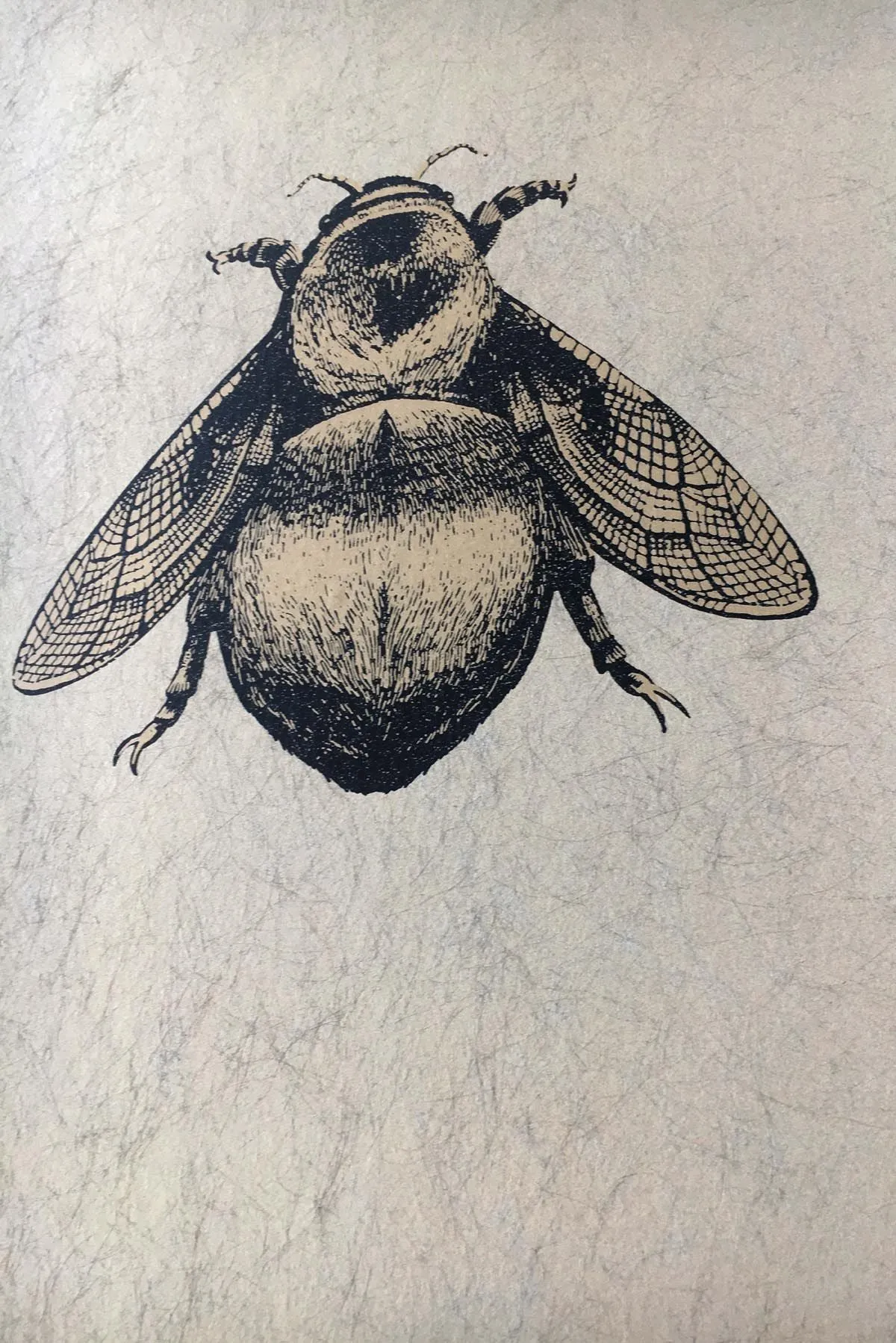 napoleon bee wallpaper
