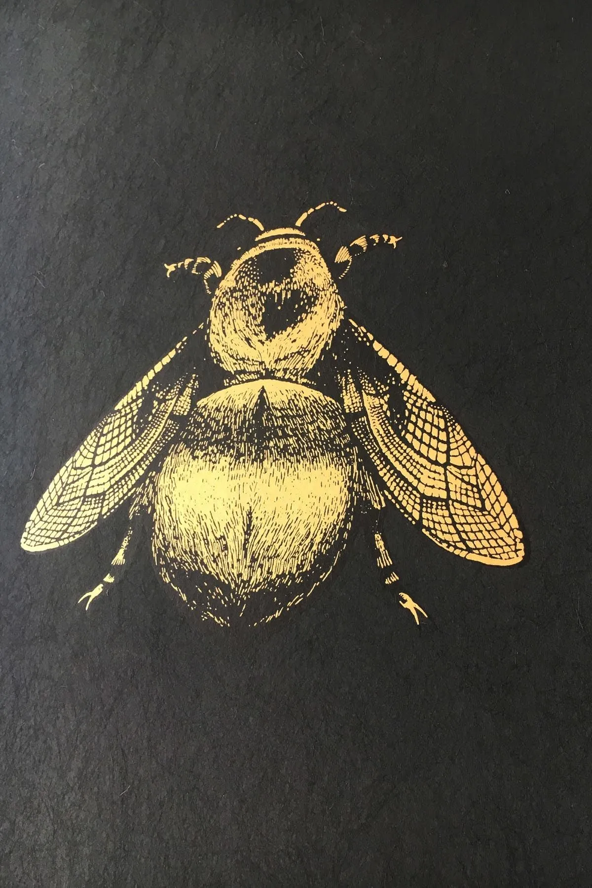 napoleon bee wallpaper
