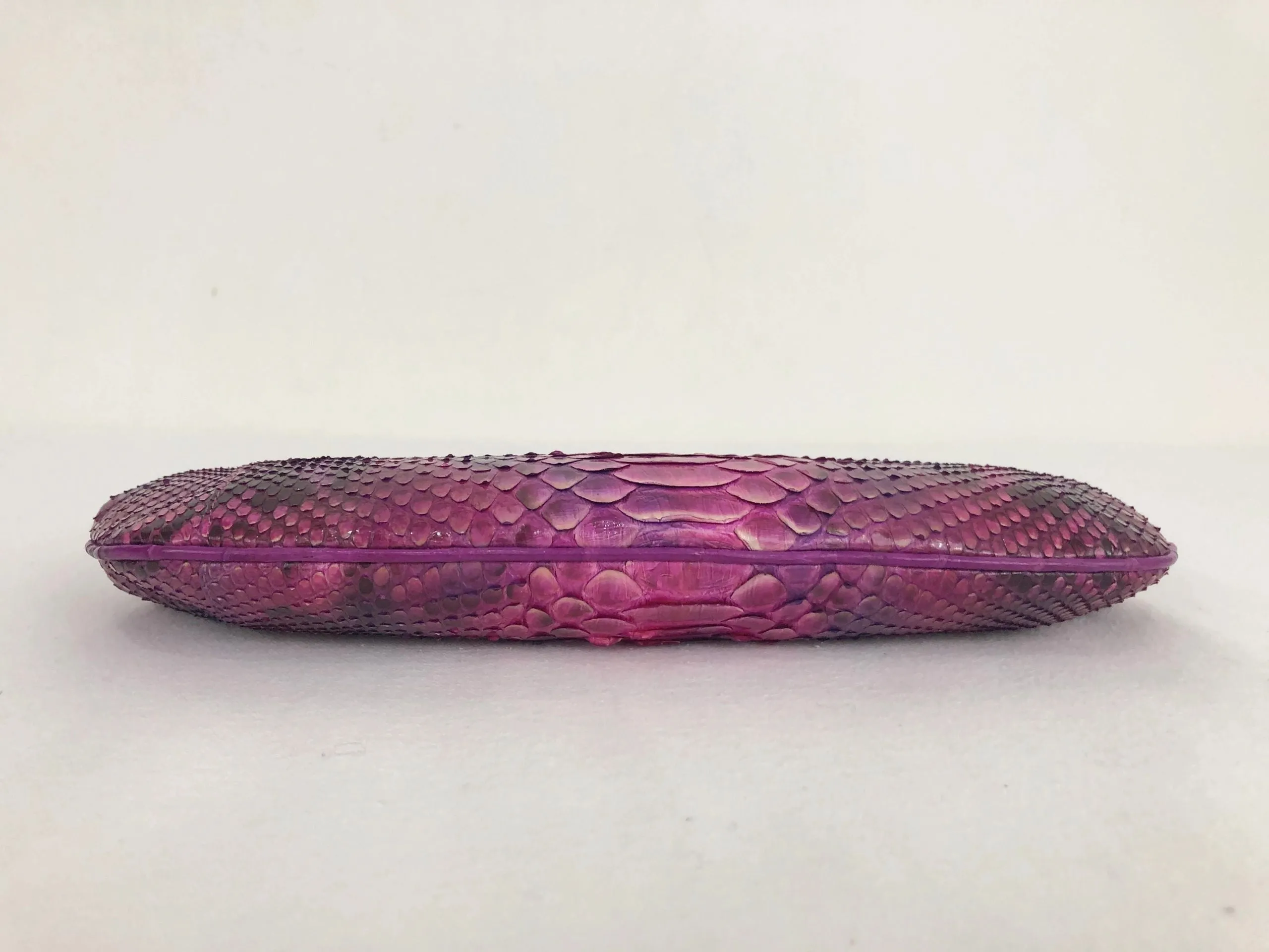 NEW Nancy Gonzalez Crocodile Clutch