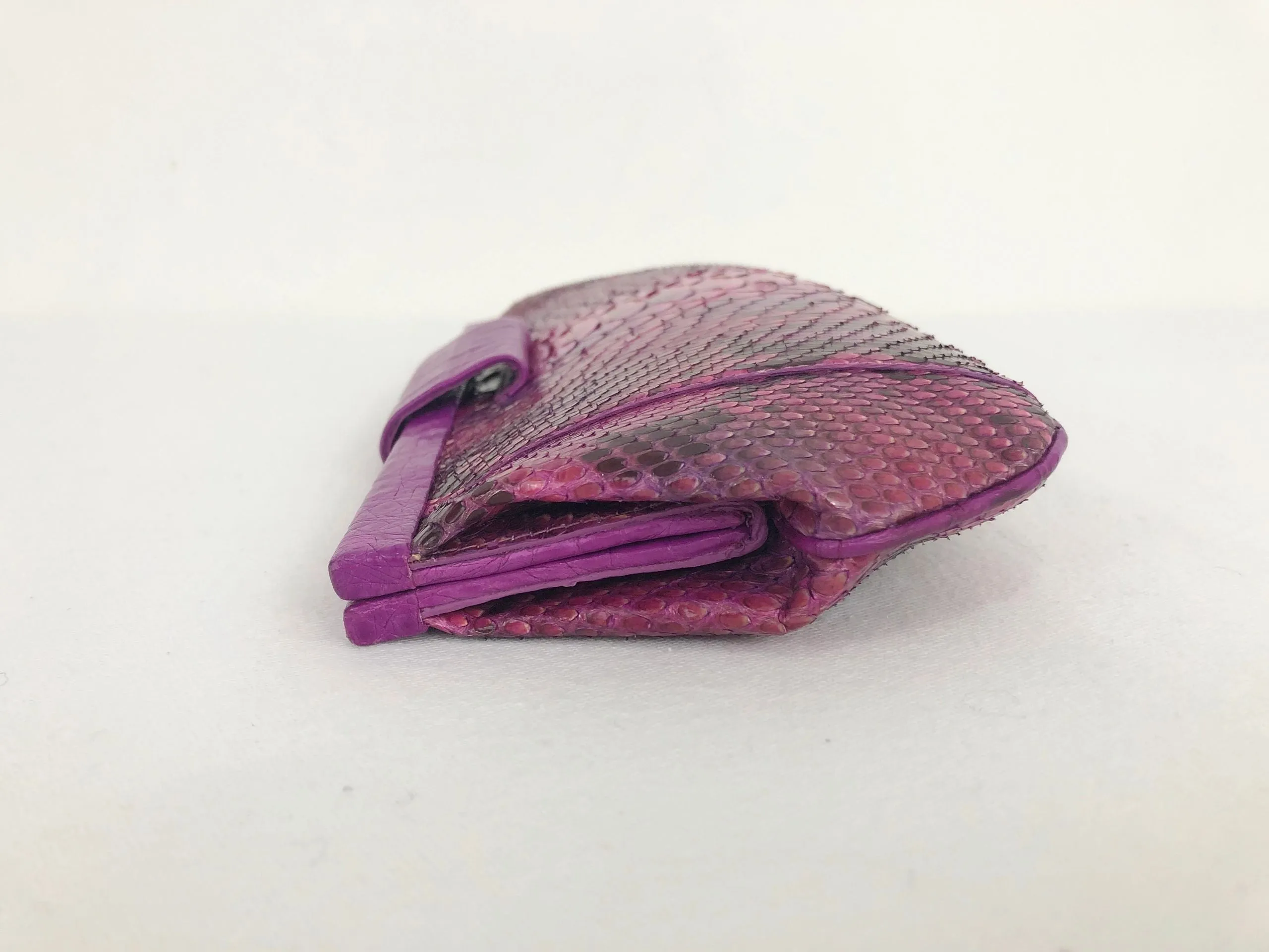 NEW Nancy Gonzalez Crocodile Clutch