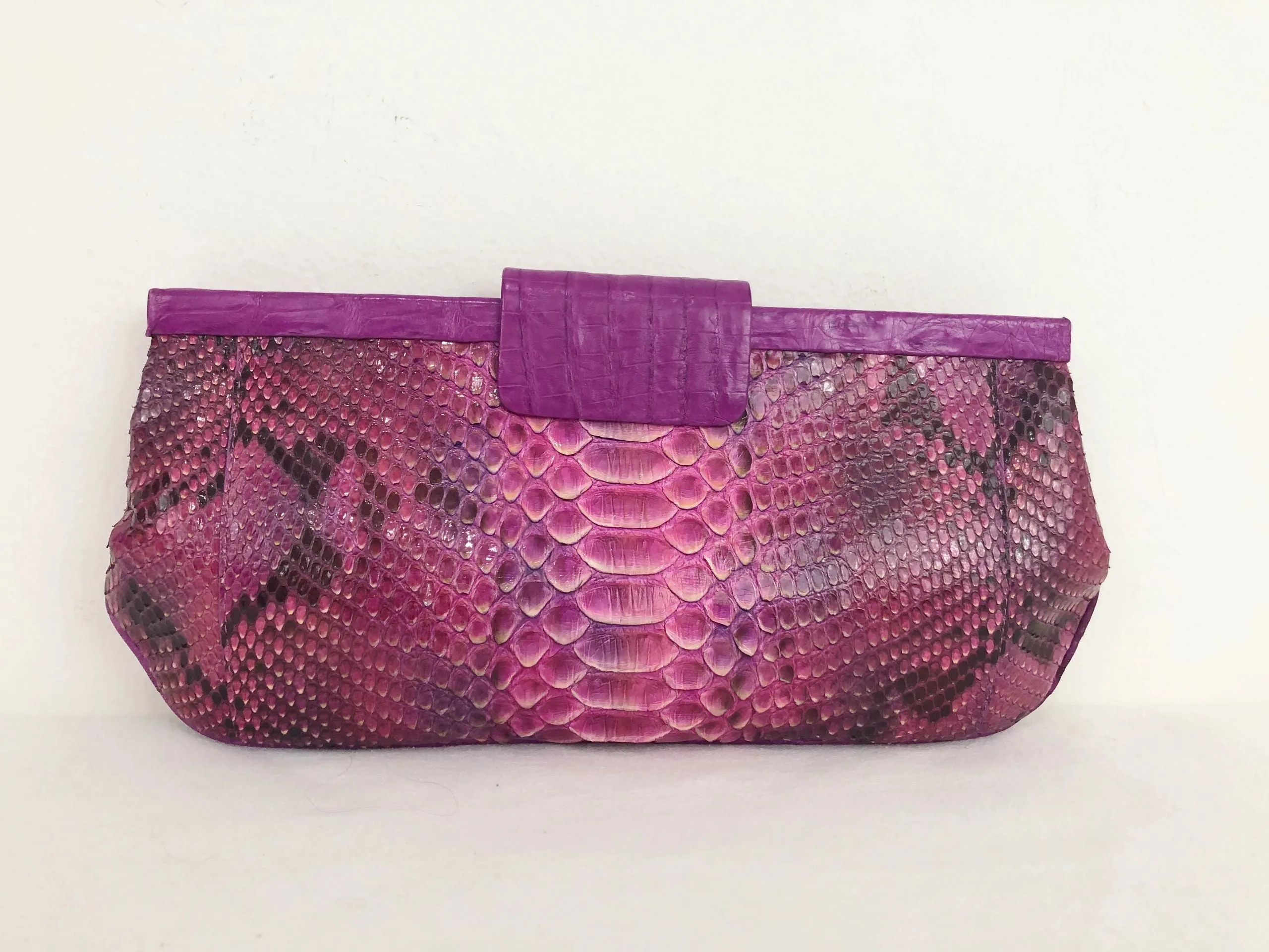 NEW Nancy Gonzalez Crocodile Clutch
