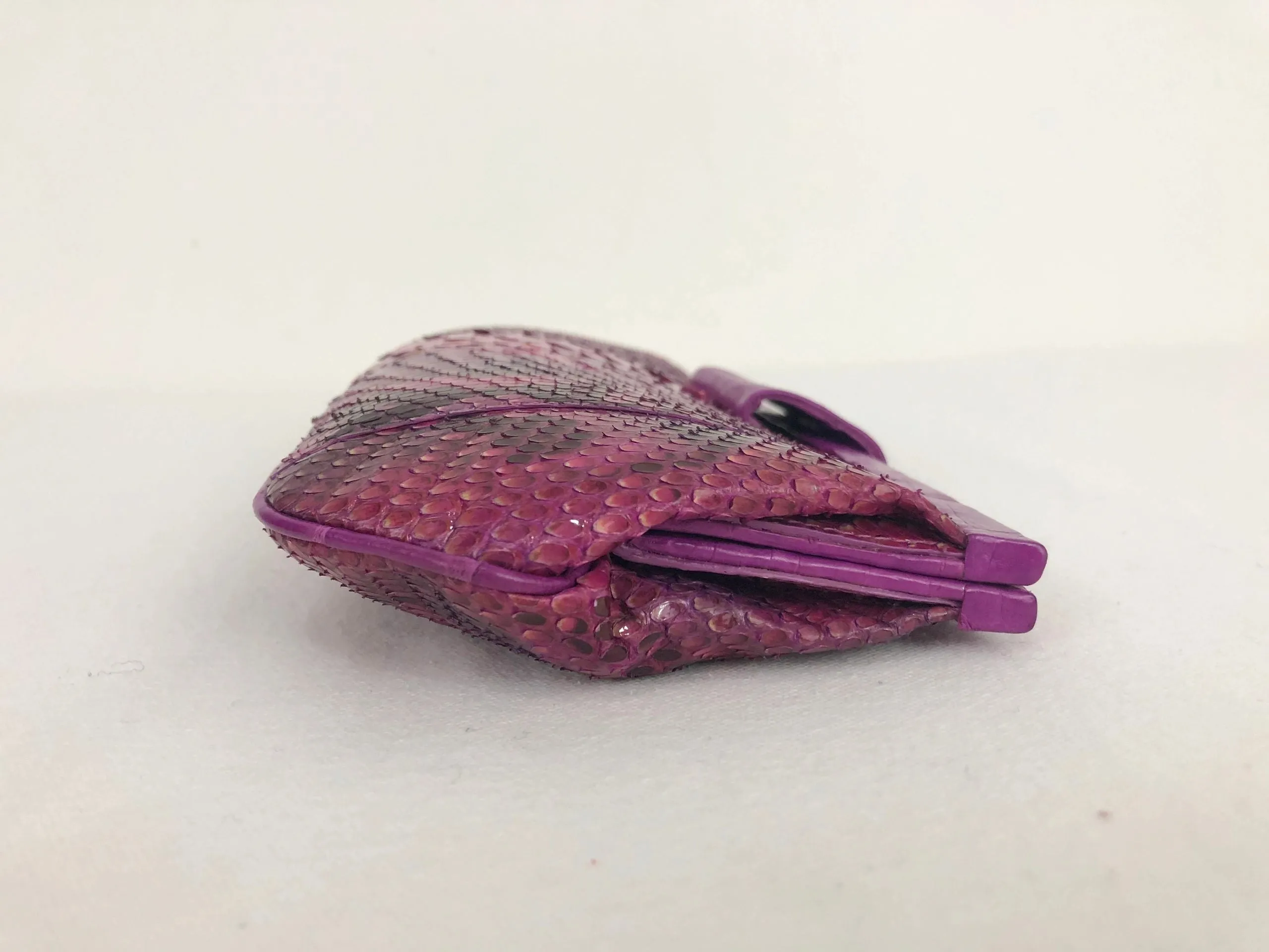 NEW Nancy Gonzalez Crocodile Clutch