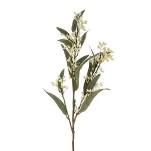 NS Flowering Eucalyptus Branch