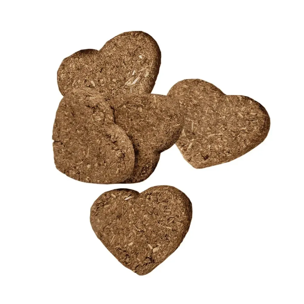 Oxbow Simple Rewards Baked Carrot and Dill Small Animal Treats