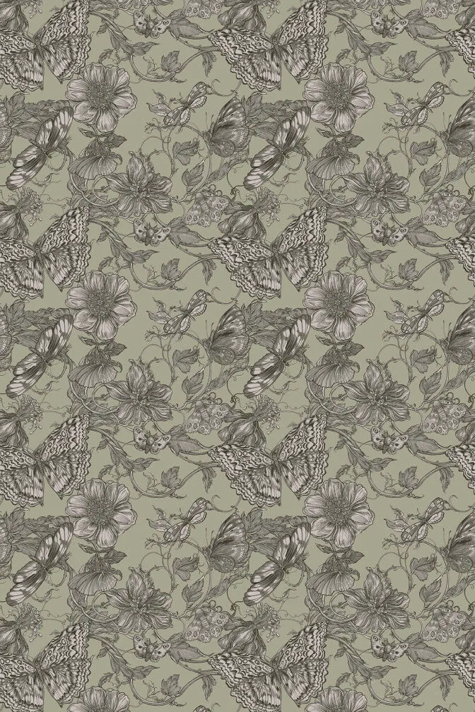 papillion wallpaper