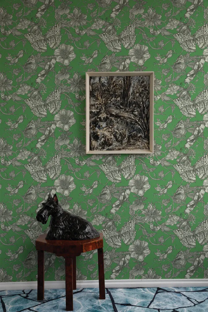 papillion wallpaper