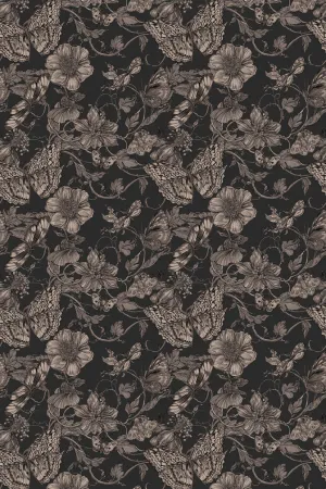 papillion wallpaper