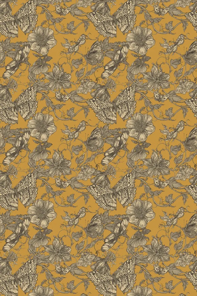 papillion wallpaper