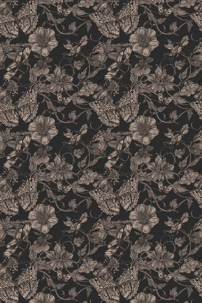papillion wallpaper