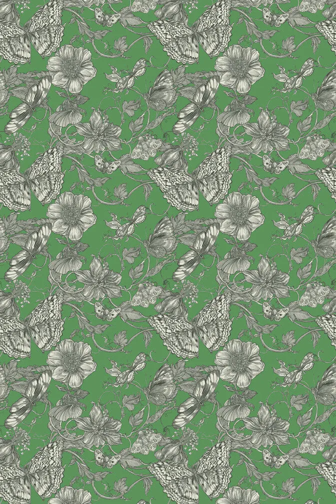 papillion wallpaper