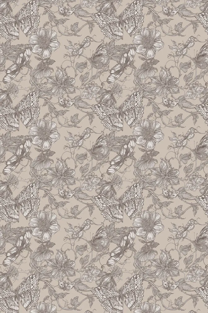 papillion wallpaper