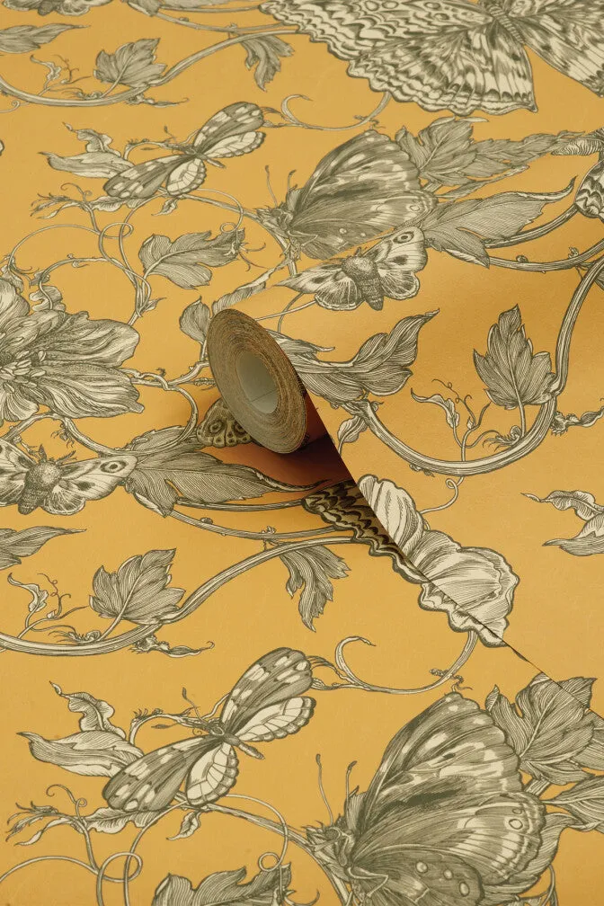 papillion wallpaper