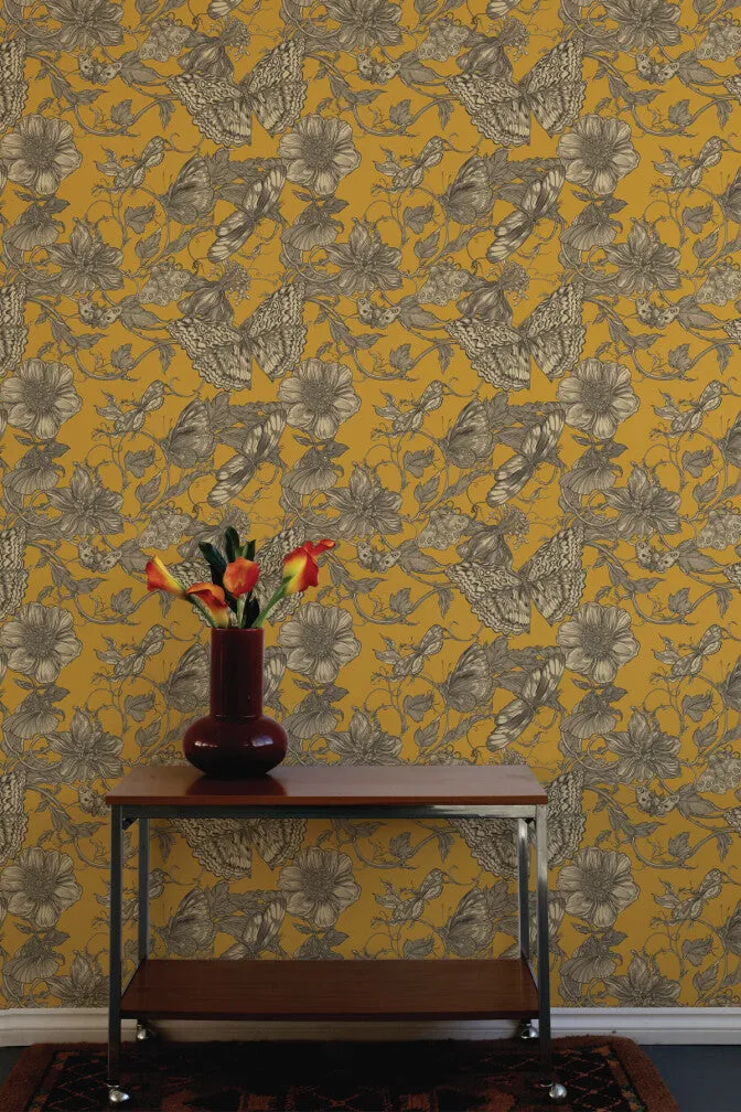 papillion wallpaper