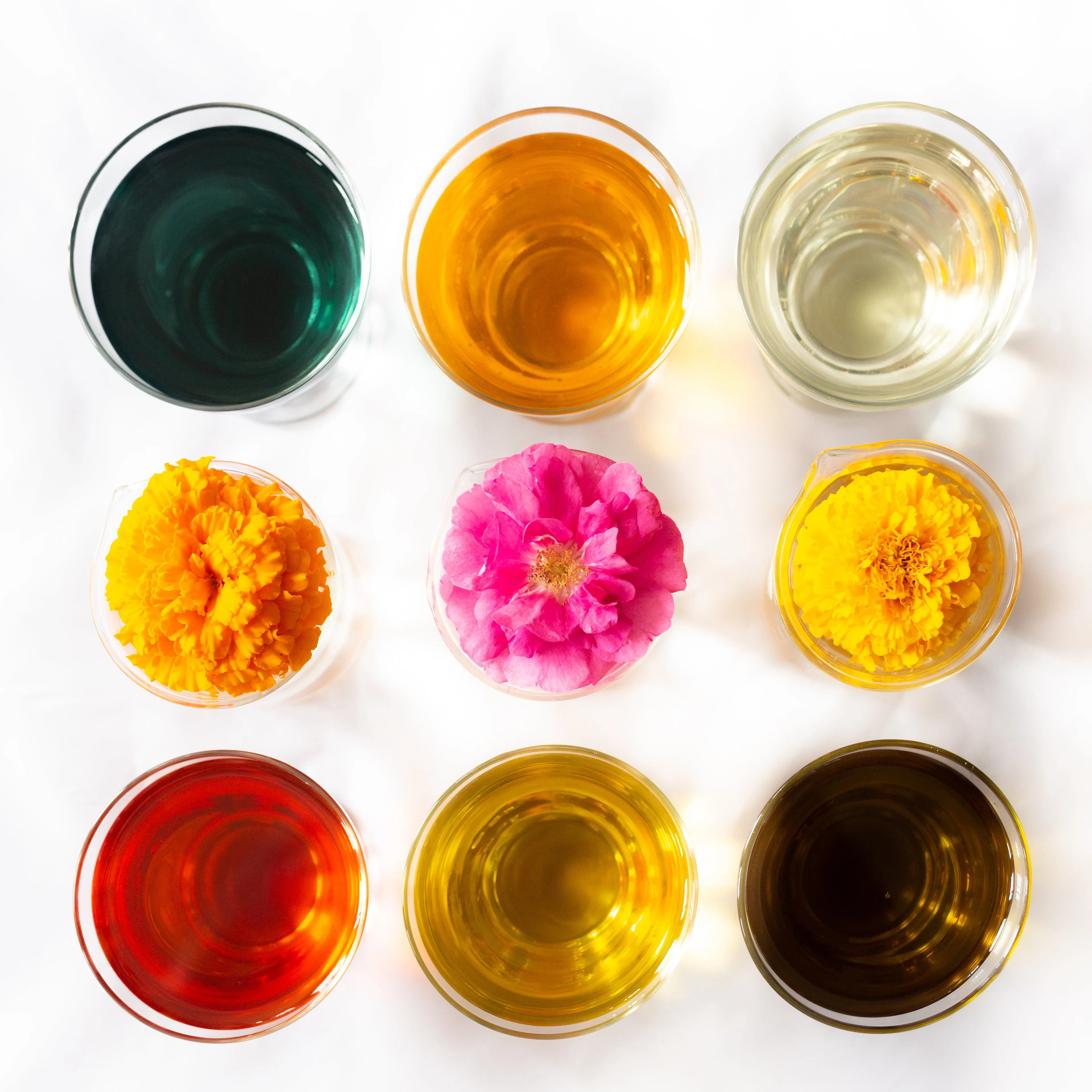 Paradigm Shift - Bioactive Botanical Concentrate