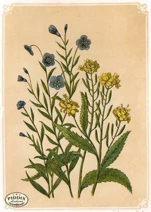 PDXC2590b -- Plants & Leaves