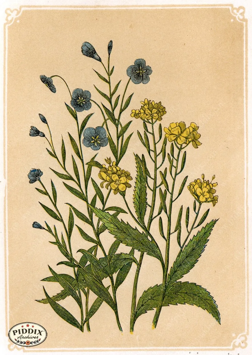 PDXC2590b -- Plants & Leaves