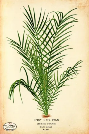PDXC4131a & b -- Plants & Leaves