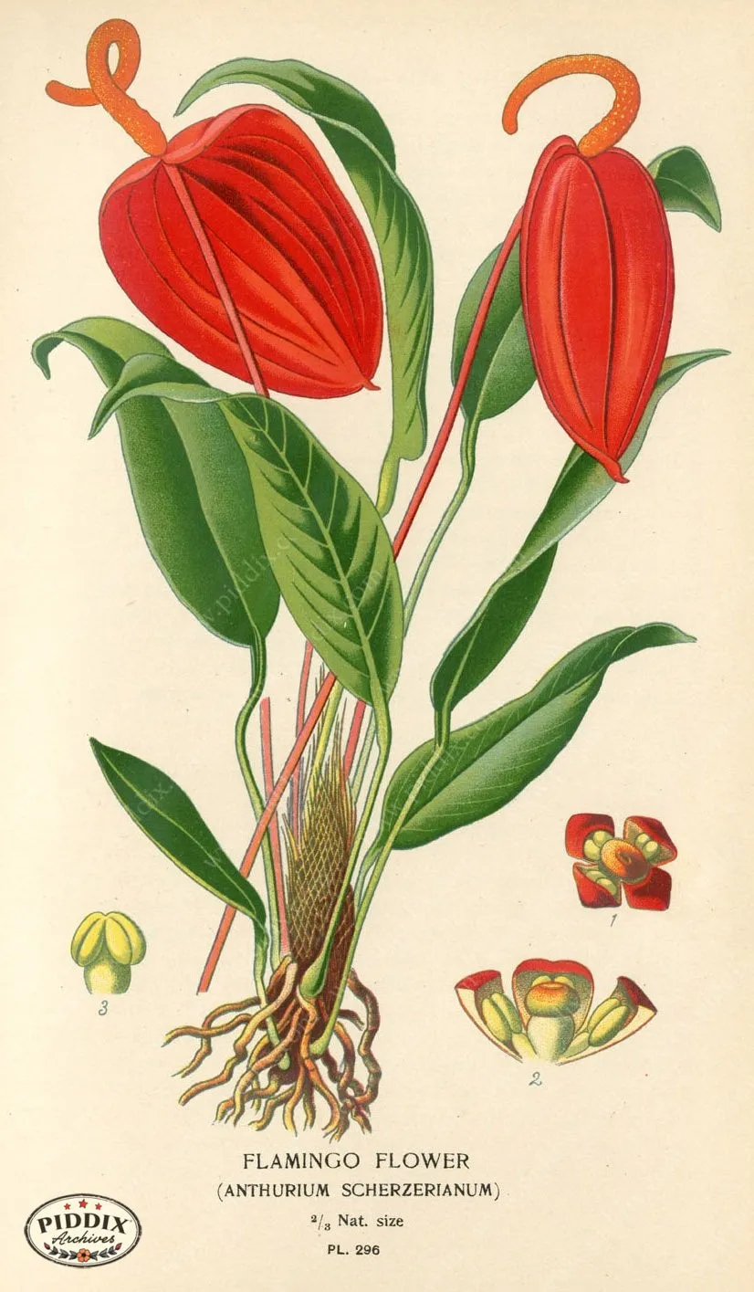 PDXC4139 -- Plants & Leaves