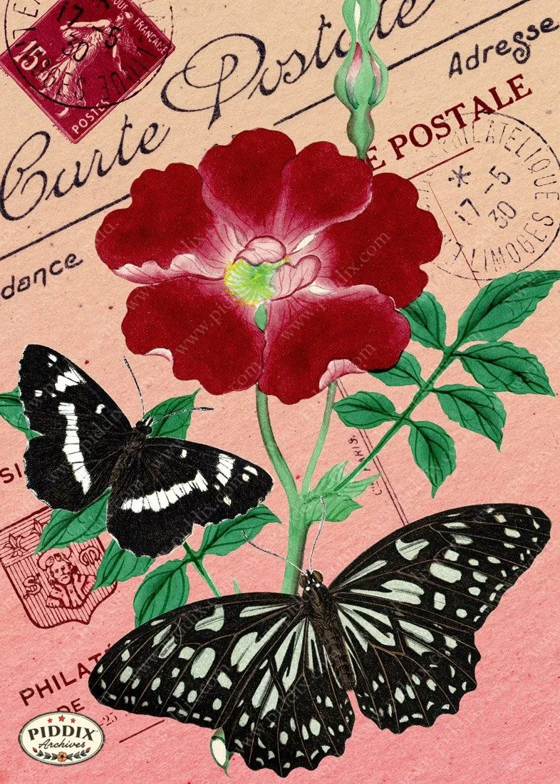 PDXC5730 Butterfly Botanical