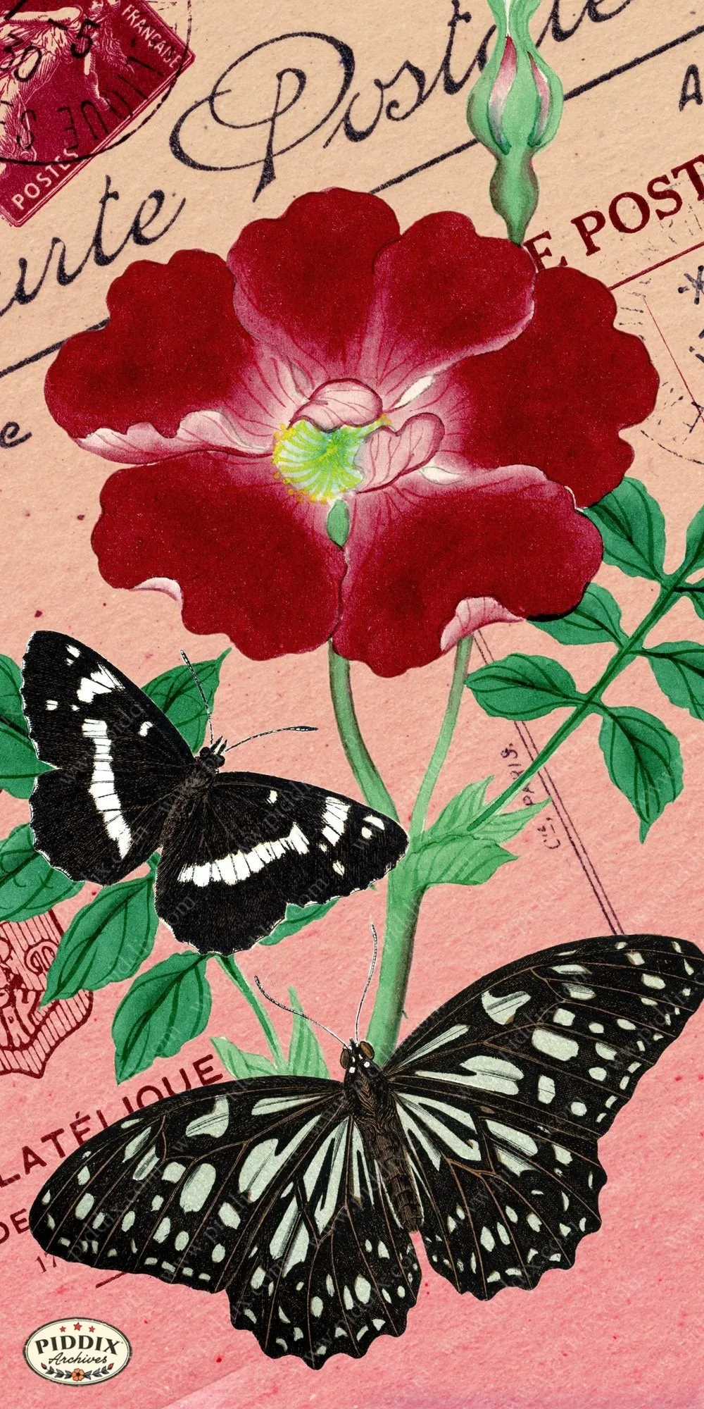 PDXC5730 Butterfly Botanical