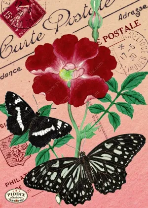 PDXC5730 Butterfly Botanical