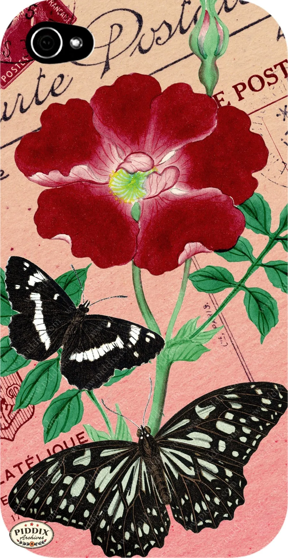 PDXC5730 Butterfly Botanical