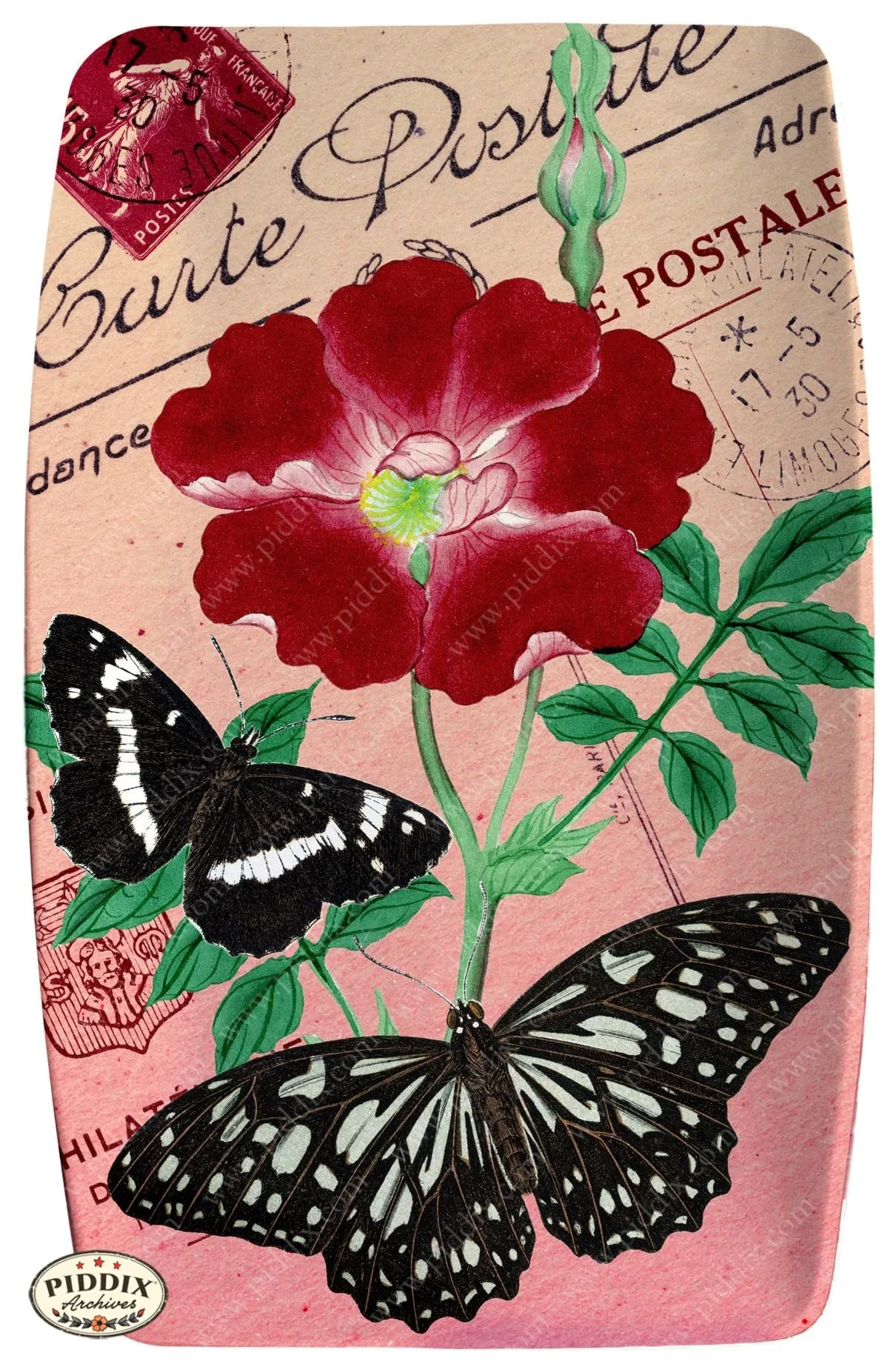 PDXC5730 Butterfly Botanical