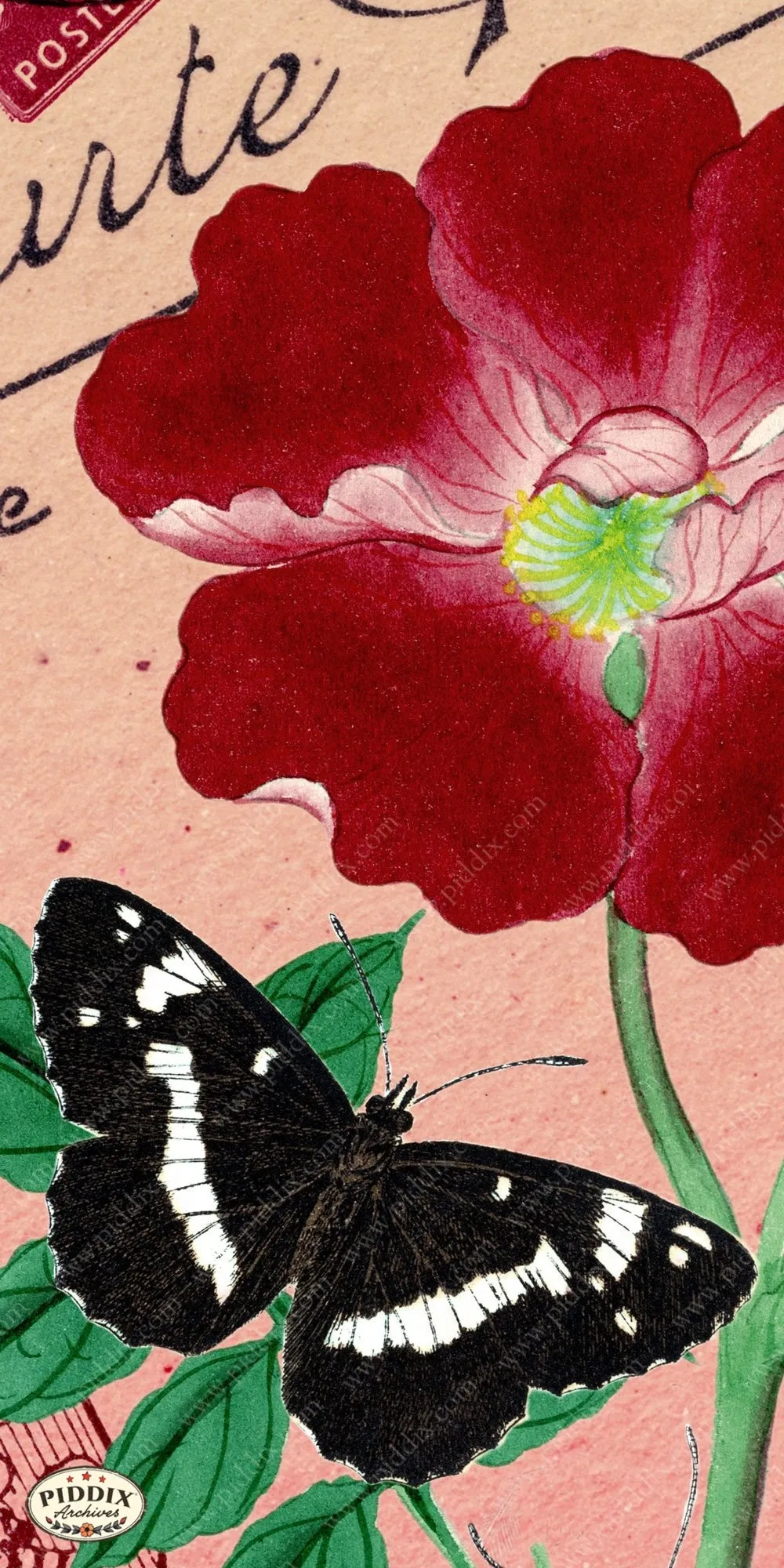 PDXC5730 Butterfly Botanical