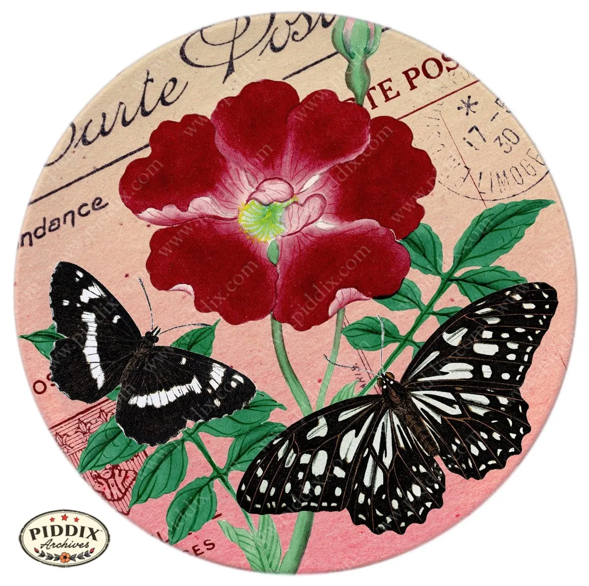 PDXC5730 Butterfly Botanical