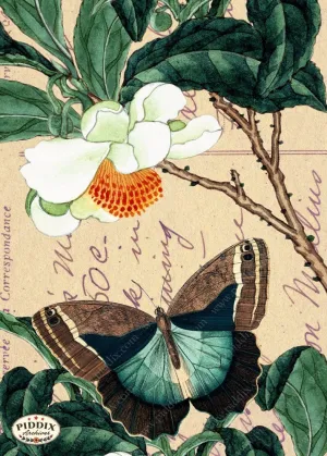 PDXC5731 Butterfly Botanical