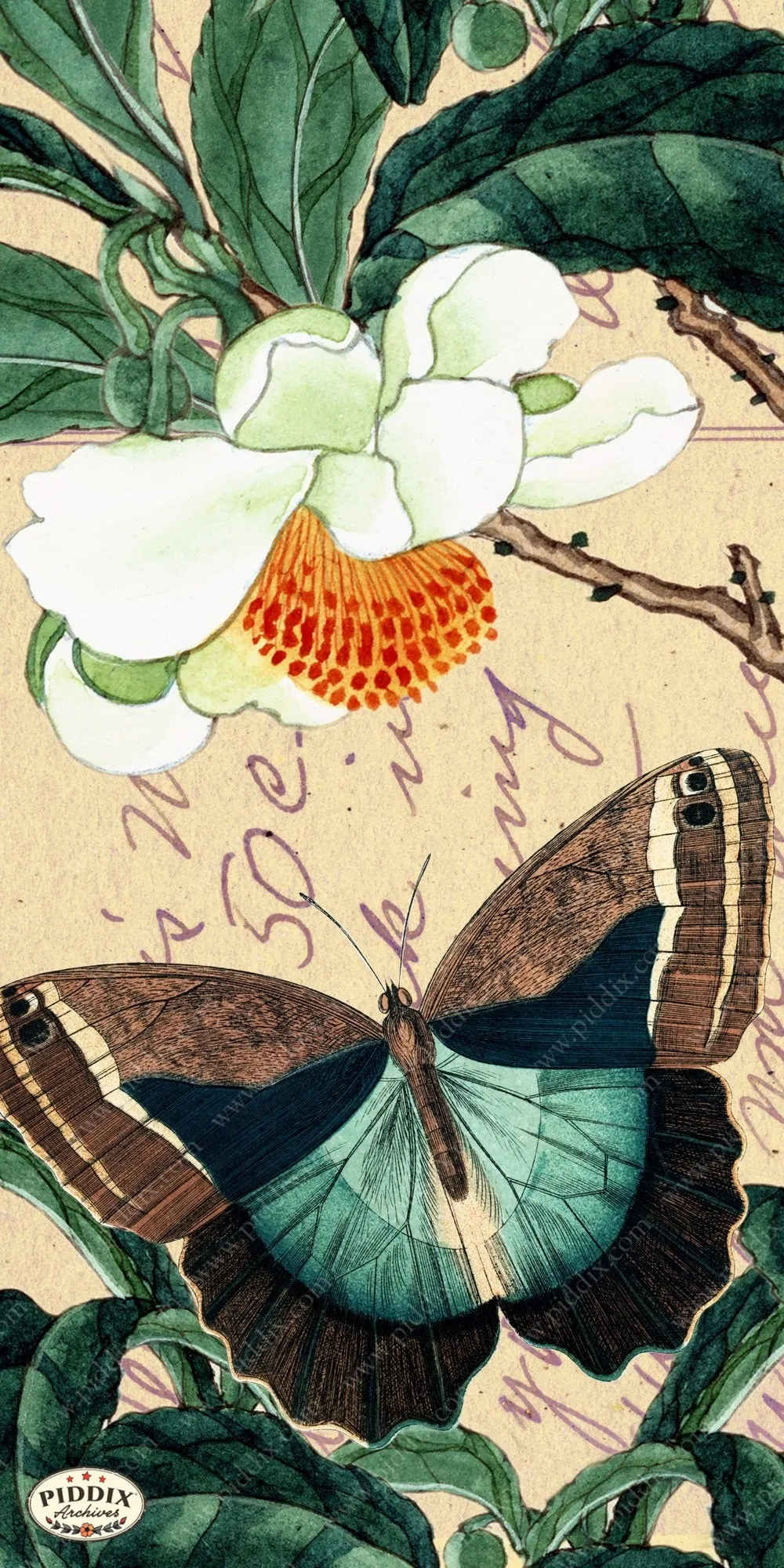 PDXC5731 Butterfly Botanical