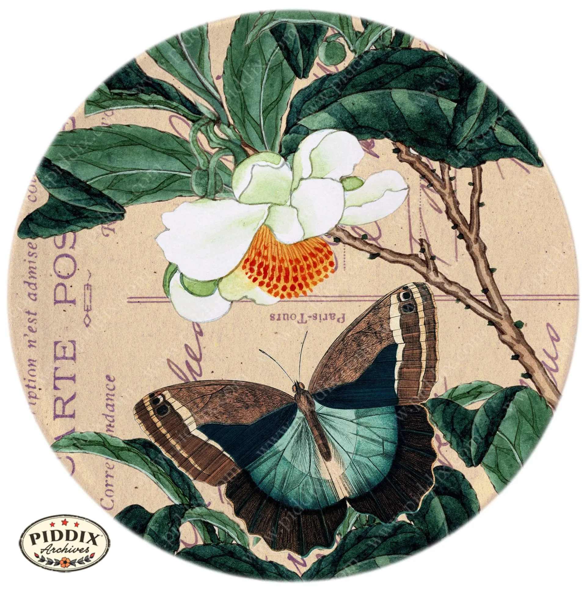 PDXC5731 Butterfly Botanical