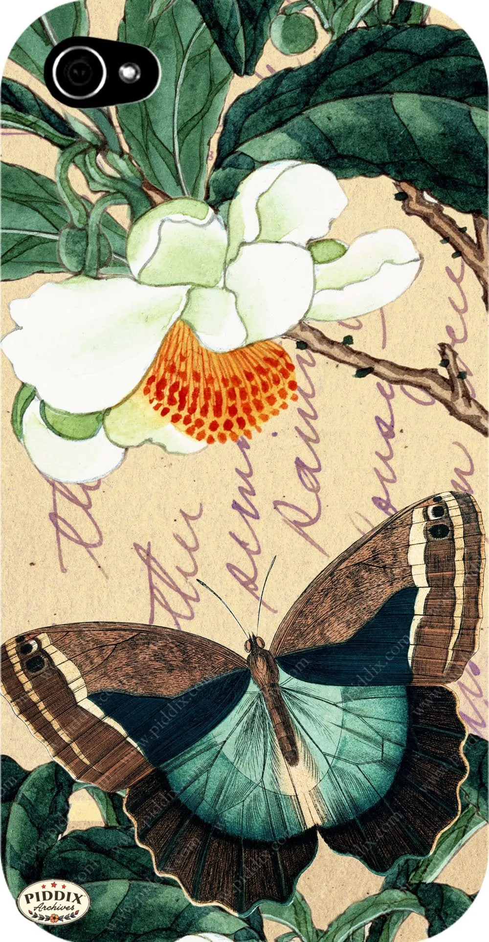 PDXC5731 Butterfly Botanical