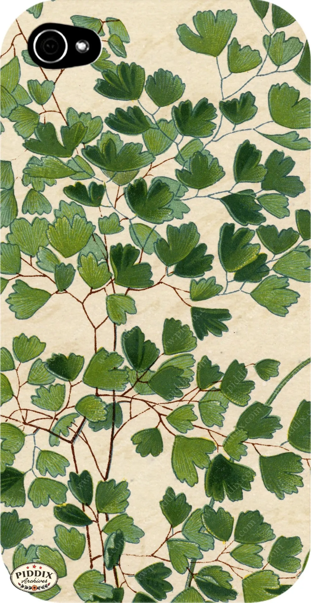 PDXC5953b -- Plants & Leaves
