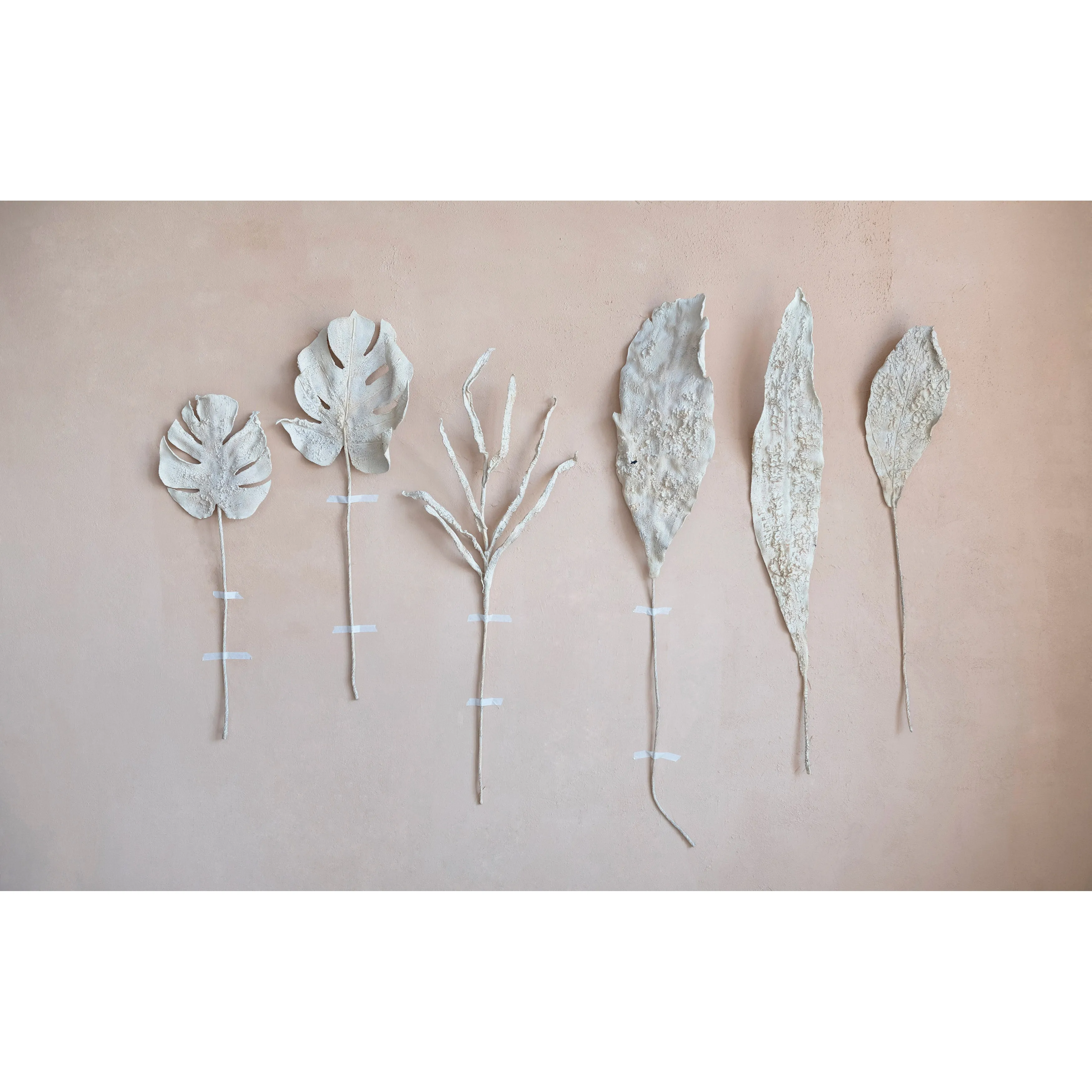Plaster Botanical